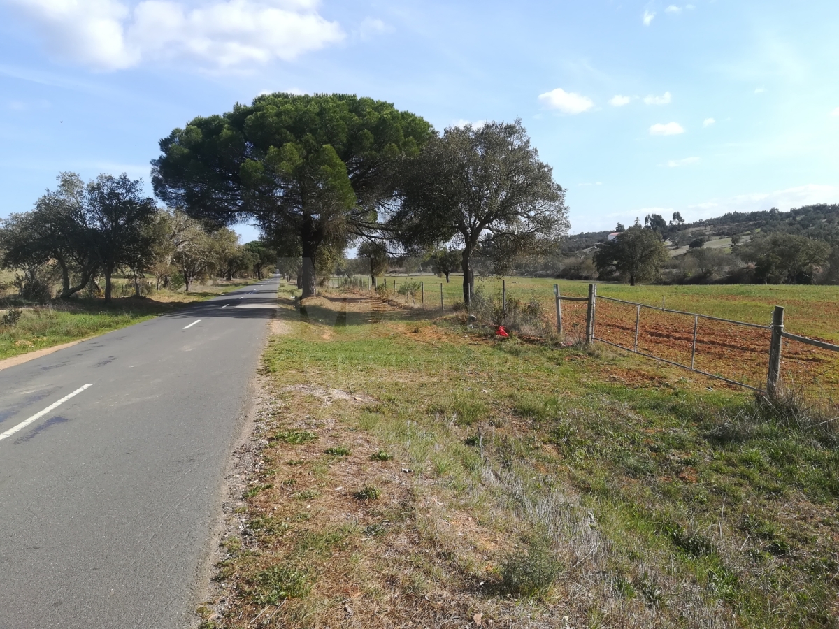 Land with 30 hectares in Santiago do Cacém, Setúbal